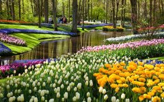 荷兰介绍holland：荷兰首都 荷兰国旗 荷兰旅游景