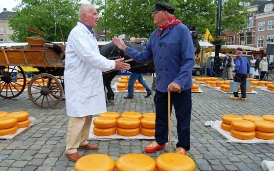 荷兰奶酪王国之旅：阿尔克马尔奶酪市场holland,欧洲,欧洲网