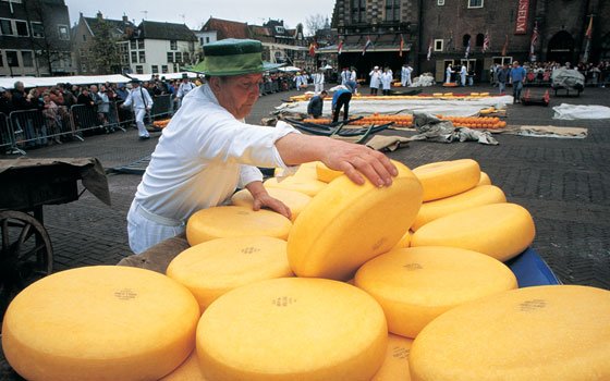 荷兰奶酪王国之旅：阿克马奶酪博物馆_holland,欧洲,欧洲网