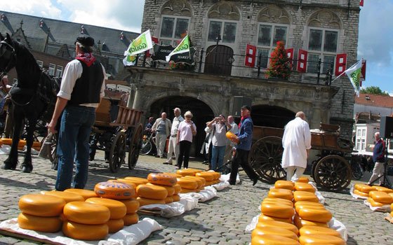 荷兰奶酪王国之旅：豪达奶酪市场_holland,欧洲,欧洲网