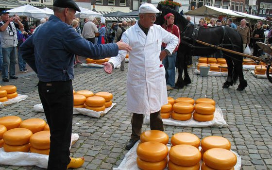 荷兰奶酪王国之旅：豪达奶酪市场_holland,欧洲