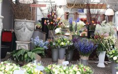 荷兰旅游：阿姆斯特丹花卉市场漂浮花市Bloemen