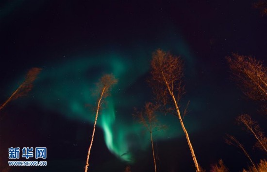 挪威北部阿尔塔极光照亮夜空：挪威极光之旅,欧洲,欧洲网