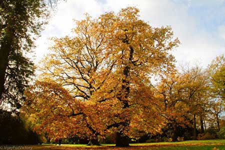 斯托海德Stourhead Wiltshire:世界十大最美园林-英国园林斯托海德,欧洲,欧洲网