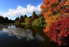 谢菲尔德公园SheffieldParkGarden:英国谢菲尔德花园以植物色彩闻名