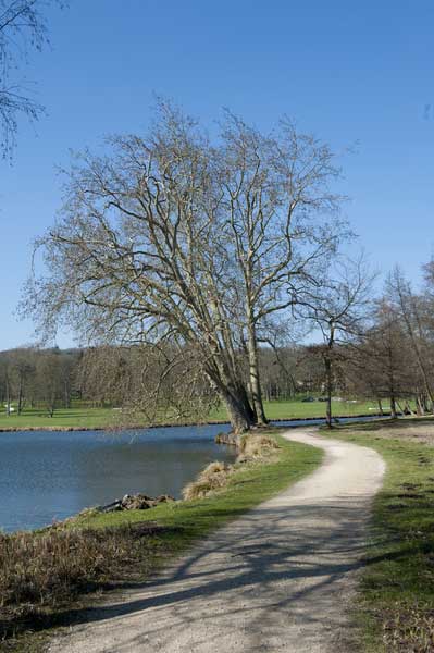 法国瑞讷Juine河谷区的古堡-夏玛朗德城堡Le château de Chamarande,欧洲