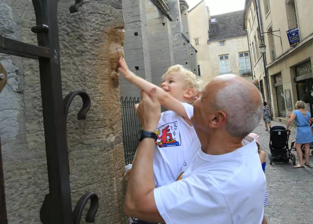 法国旅游：中部古城及葡萄酒之都-勃艮第首府第戎Dijon,欧洲