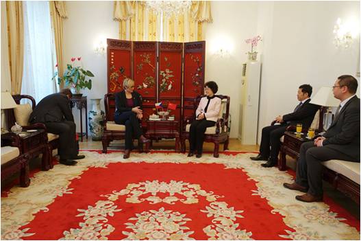 马克卿大使邀请捷克地方发展部长什莱赫托娃做客中国大使馆,欧洲,欧洲网