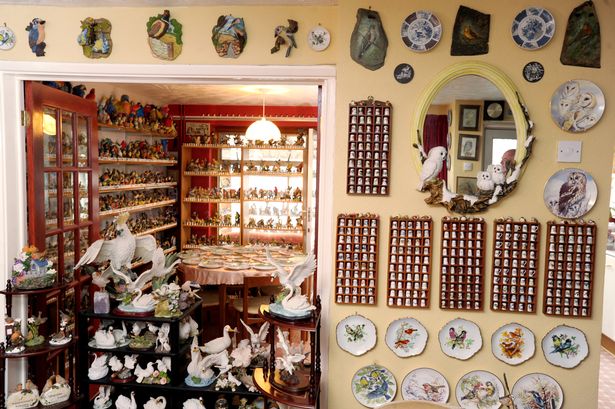 英国小伙30年收藏2万个鸟饰品 数百张与鸟有关的图片 杯子和拼图,欧洲,欧洲网