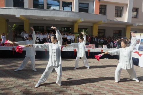 驻阿尔巴尼亚使馆与开设汉语课程中小学校举办中国日活动,欧洲,欧洲网