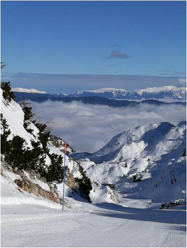 驻斯洛文尼亚使馆馆员与华侨华人赴沃格尔滑雪场Vogel Ski Center滑雪,欧洲,欧洲网